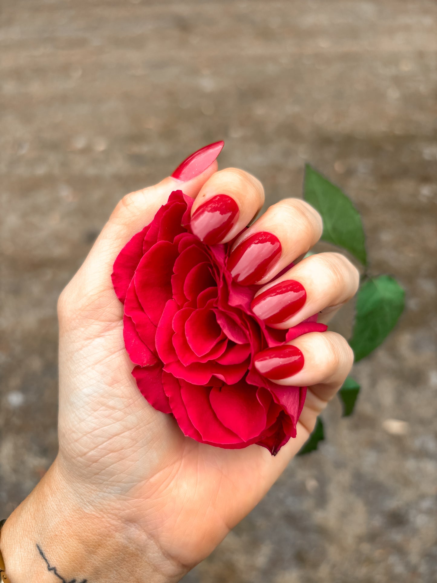 Rogue Red