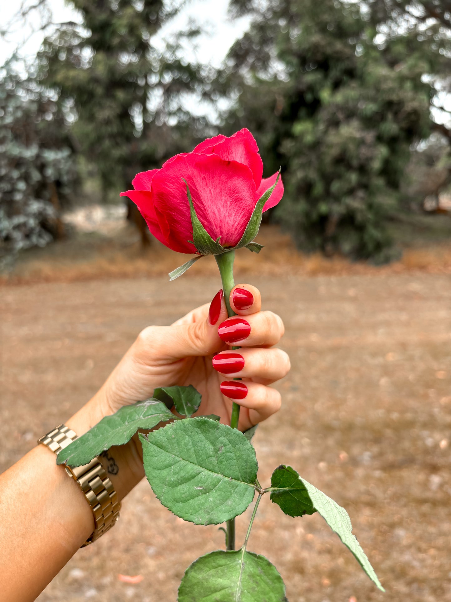 Rogue Red