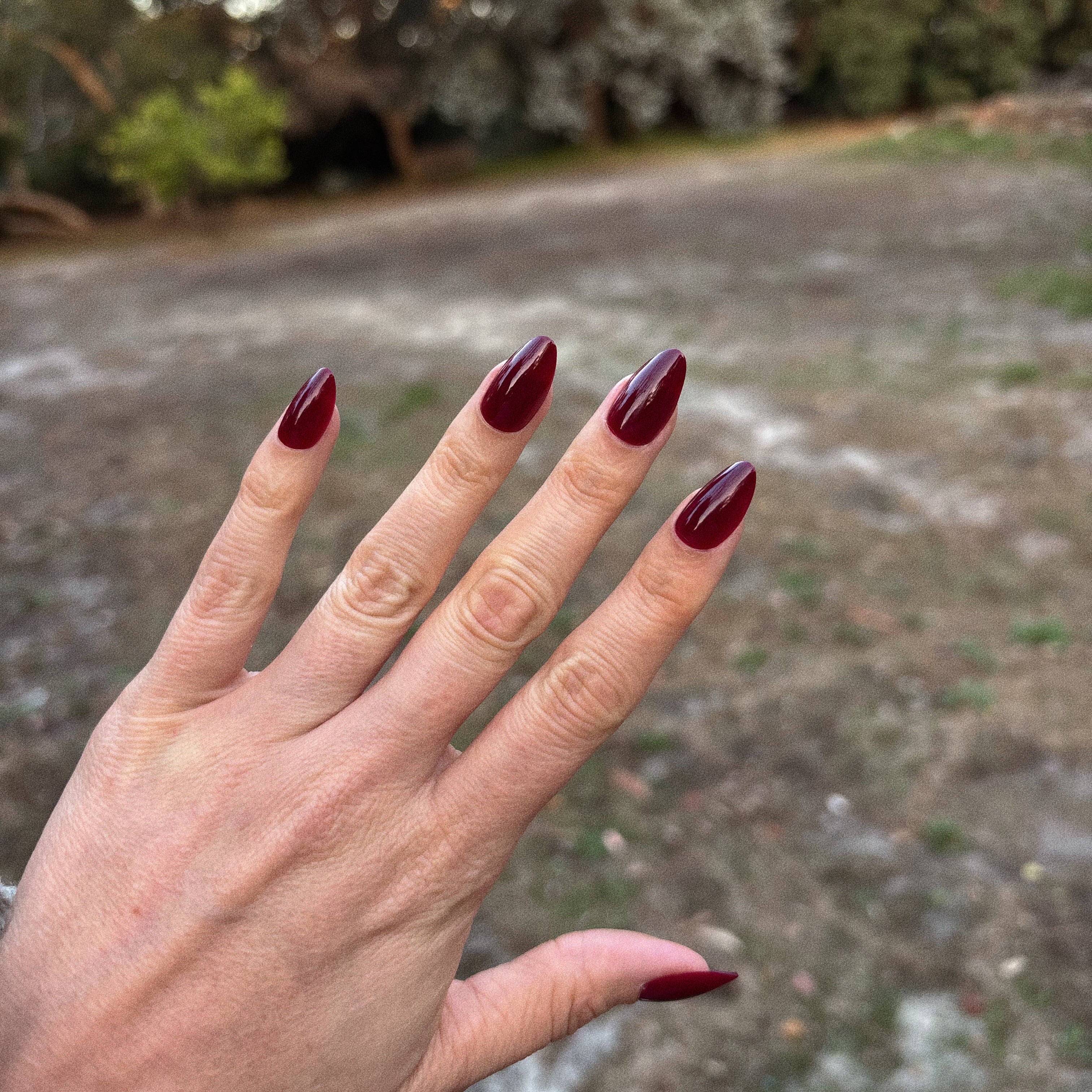 Dark Cherry