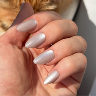 Platinum Grace: High-Shine (Luxury Essential)